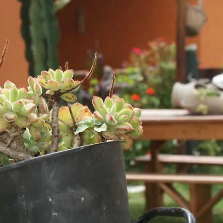 Dom wakacyjny La Gramigna