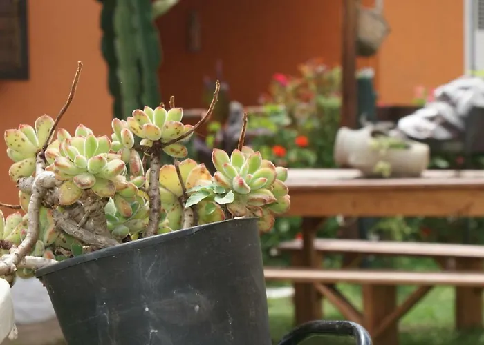 Casa de Férias La Gramigna